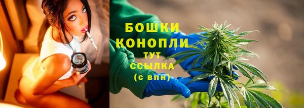СК Новокубанск