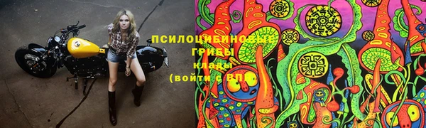 мяу мяу мука Нязепетровск