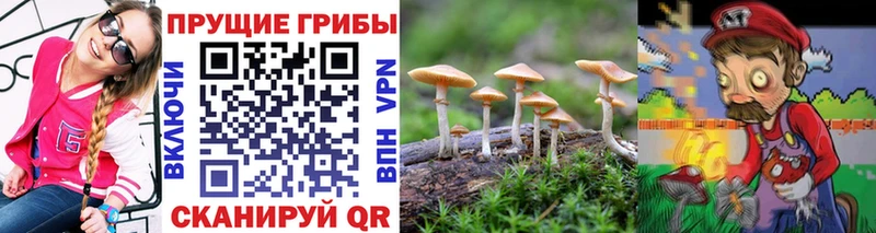 закладки  omg зеркало  Галлюциногенные грибы мицелий  Миллерово 