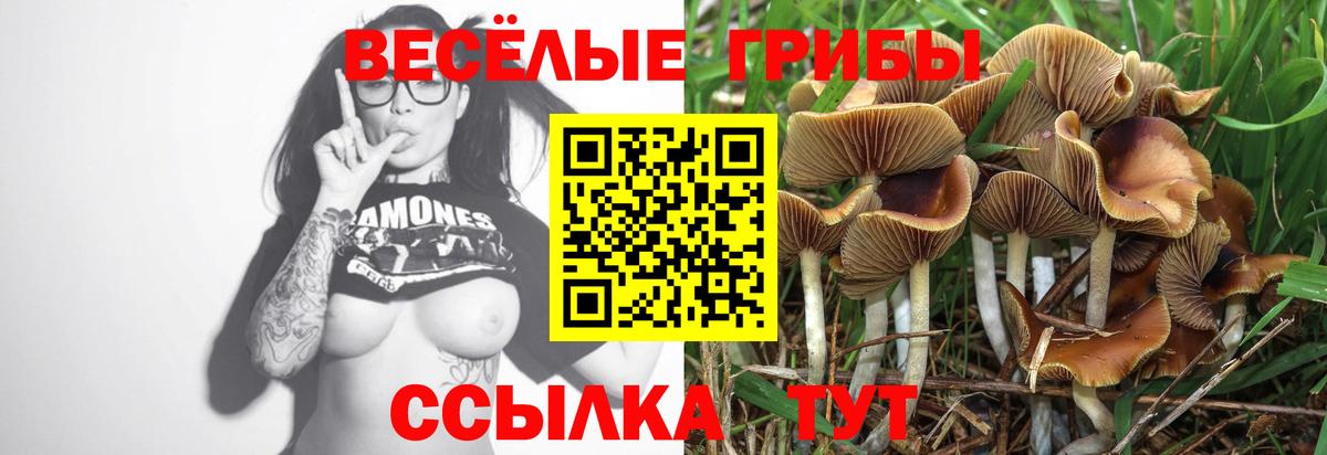 Галлюциногенные грибы ЛСД Миллерово